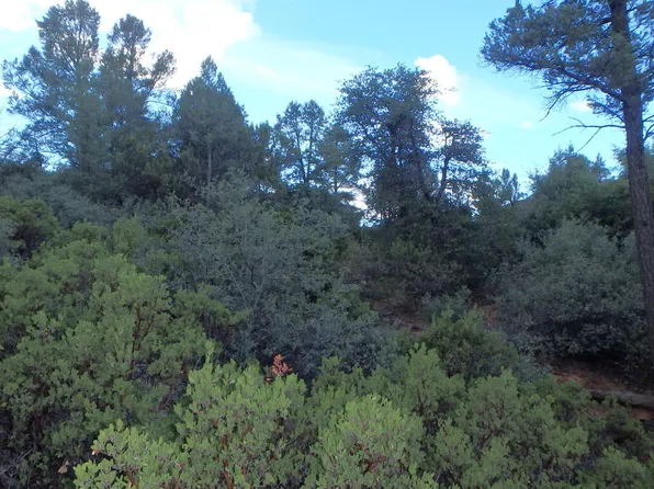 107 N Feather Plume Cir, Payson, AZ 85541