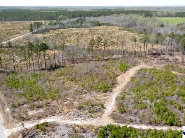 TRACT 2 Hallelujah Rd, Mount Croghan, SC 29727