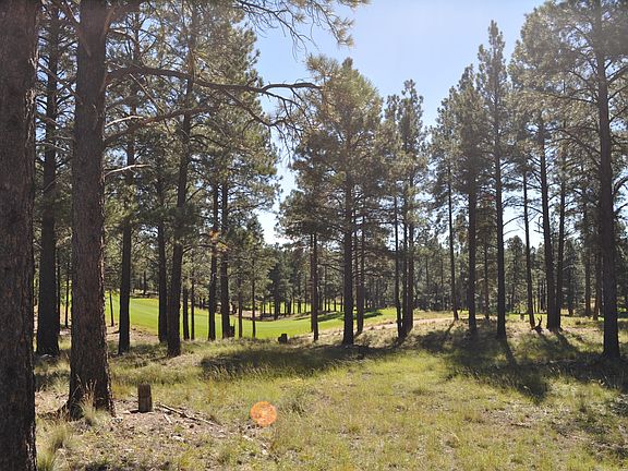 5th image of 3863 S. Clubhouse Circle