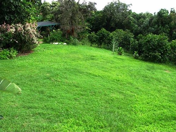 Large area for the Childr