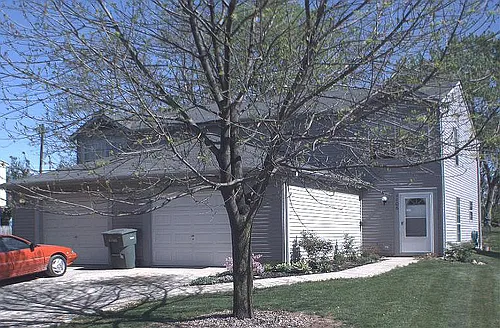 2206 Big Tree Dr Photo 1