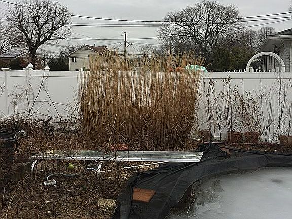 4th image of 155 Wright Ave
