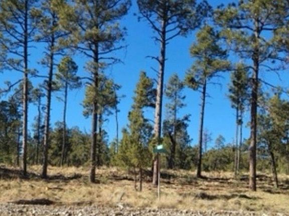 5th image of Bagdad Dr