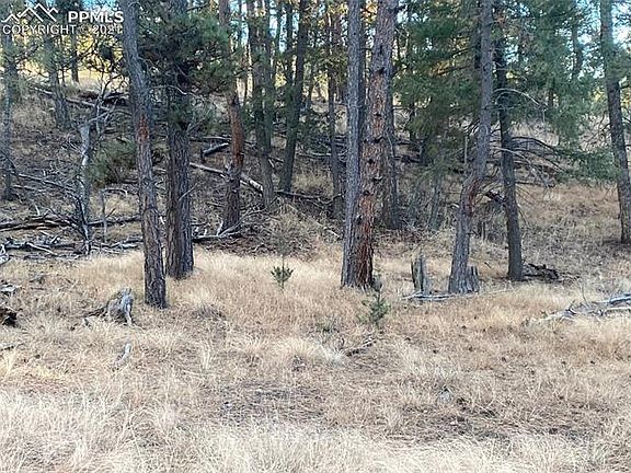 4th image of 158 Paint Pony Ln