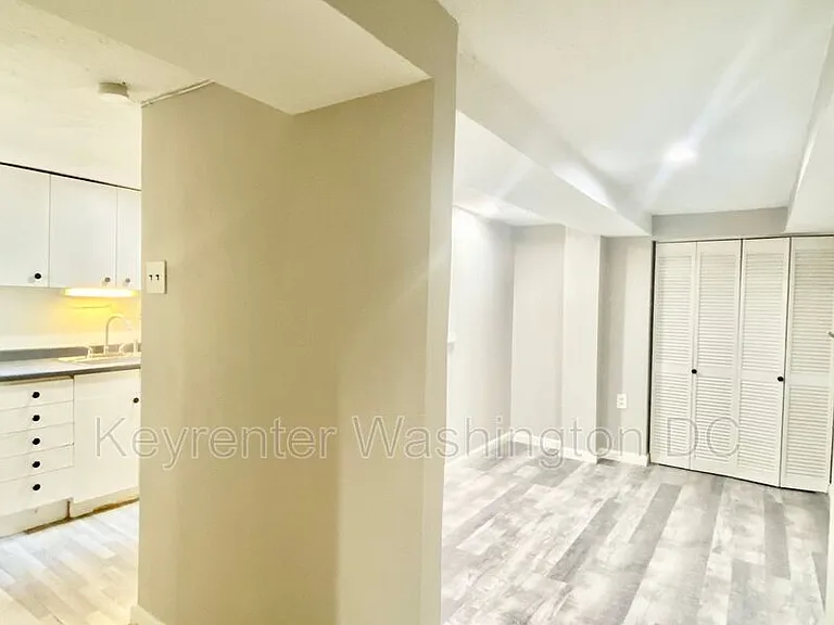 A 1351st St #NE ENGLISH BASEMENT — Photo 10