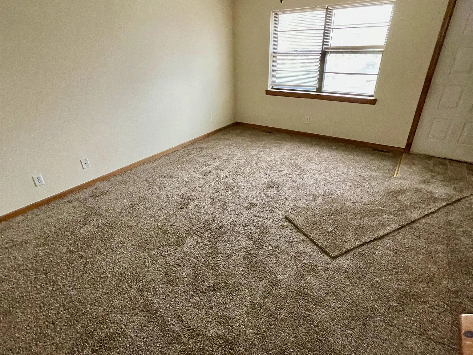 909 Fir Street - 1 — Photo 2