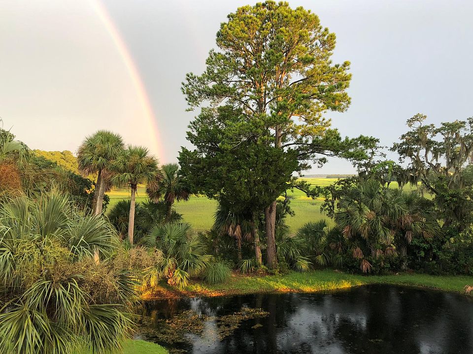 Yes, this REALLY IS the view!