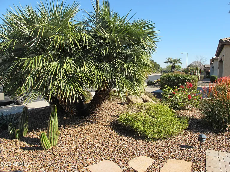 12467 W Alyssa Ln — Photo 33
