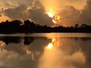 6519 Fletch Rd, Land O Lakes, FL 34637