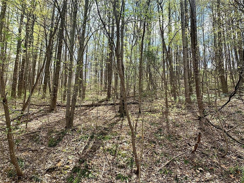 1st image of 1550 Fox Hollow Dr
