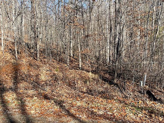 5th image of LOT 14 Shallow Creek Cir