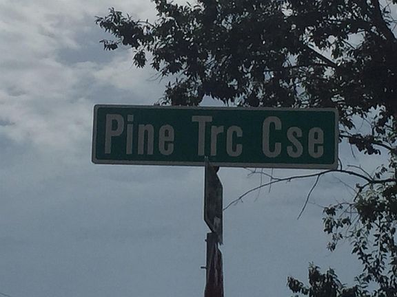5th image of 3 Pine Trace Crse