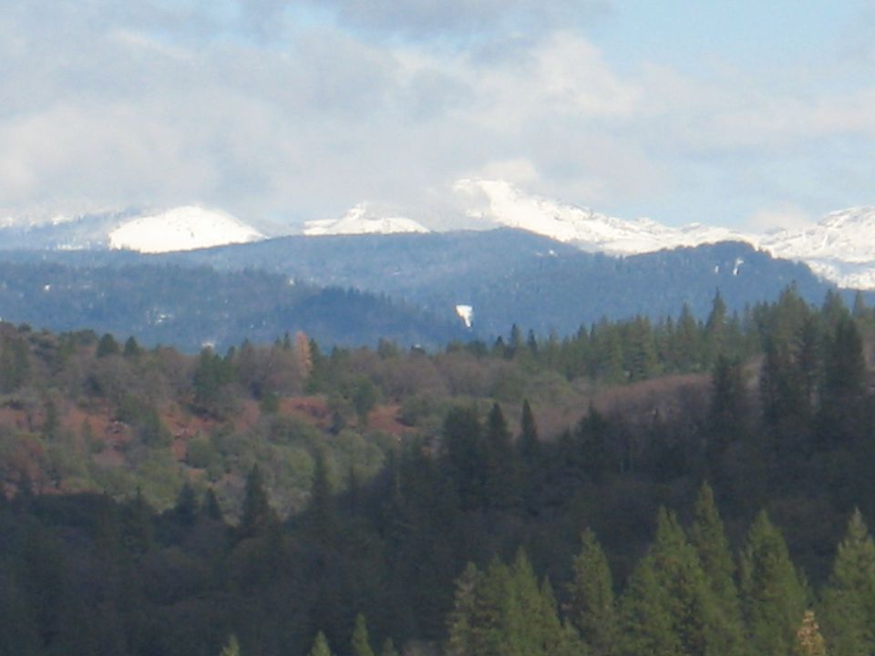 View from back deck