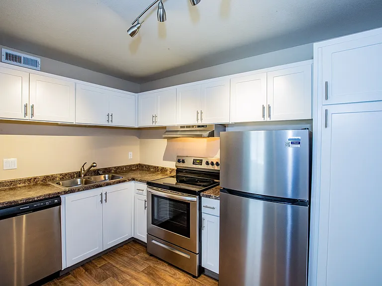 Stainless Steel Appliances*