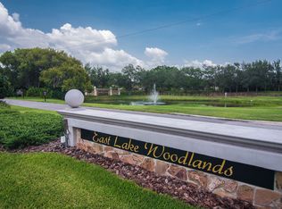 117 Caryl Way, Oldsmar, FL 34677
