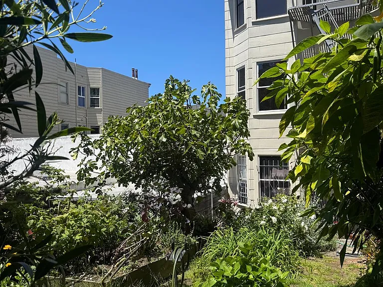 1459 Haight St #5 — Photo 46