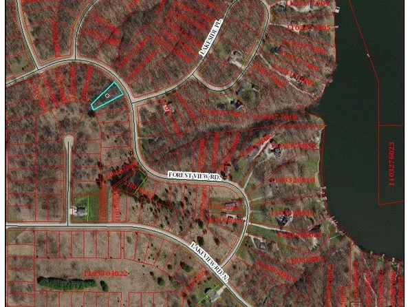 22 Forest View Rd, Dahinda, IL 61428