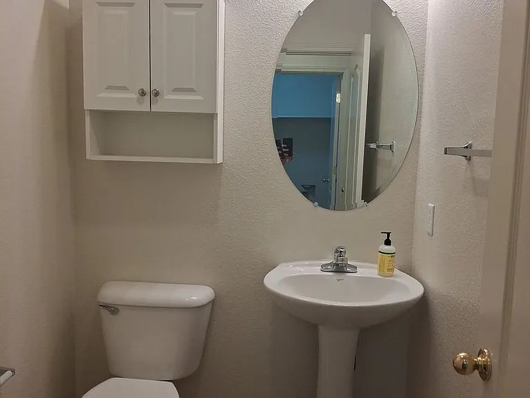 313 Dorinda Ct — Photo 21