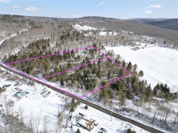 LOT 7B Blackman Hill Rd #13, Berkshire, NY 13736