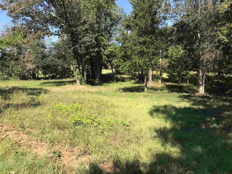 2nd image of TRACT 1 County Road 118