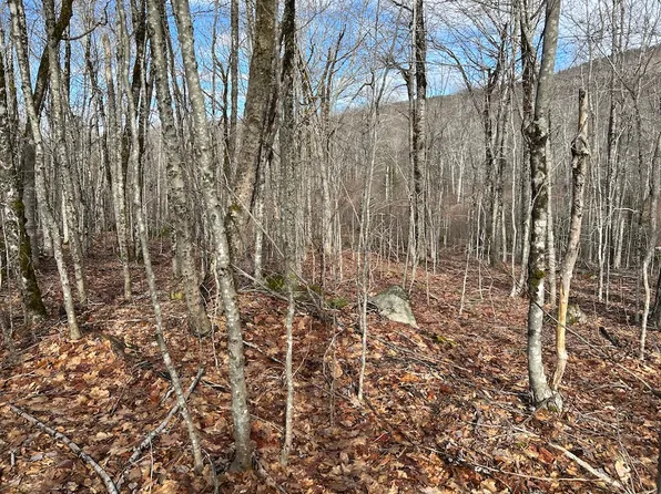 M8l6 Camp Line, Stockton Springs, ME 04981