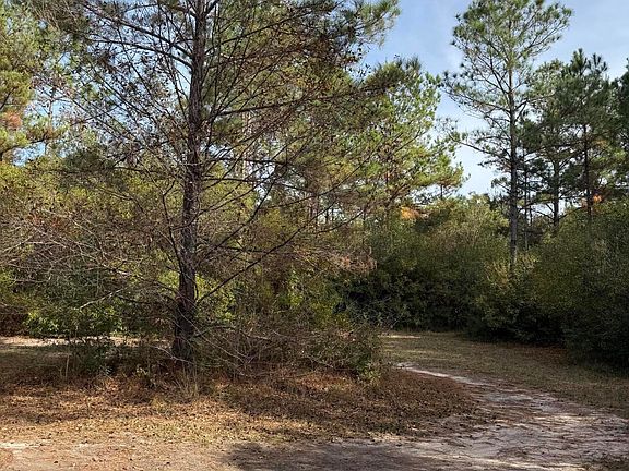 5th image of 21440 Mississippi Pumping Rd #603
