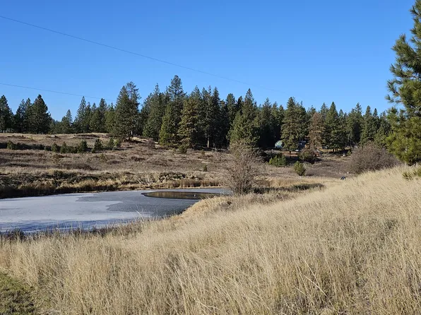 1041 Ward Way, Colville, WA 99114