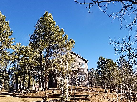 Nestled in the trees