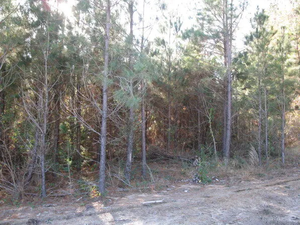 1 Parkview Ests, Ellisville, MS 39437