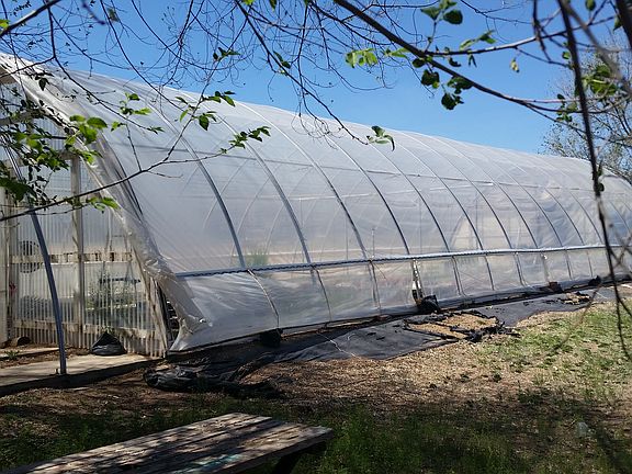 65' greenhouse