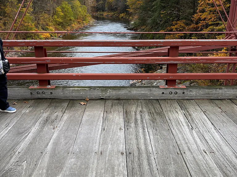 Maple St — Photo 13