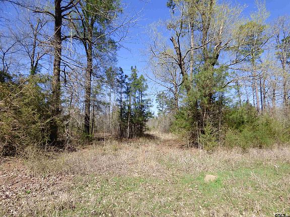 3rd image of County Road 3302