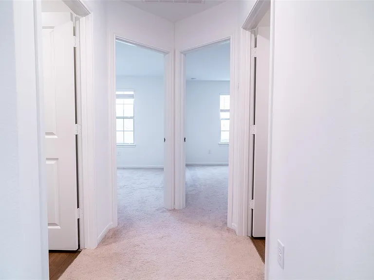 8214 Star Terrace Dr — Photo 22