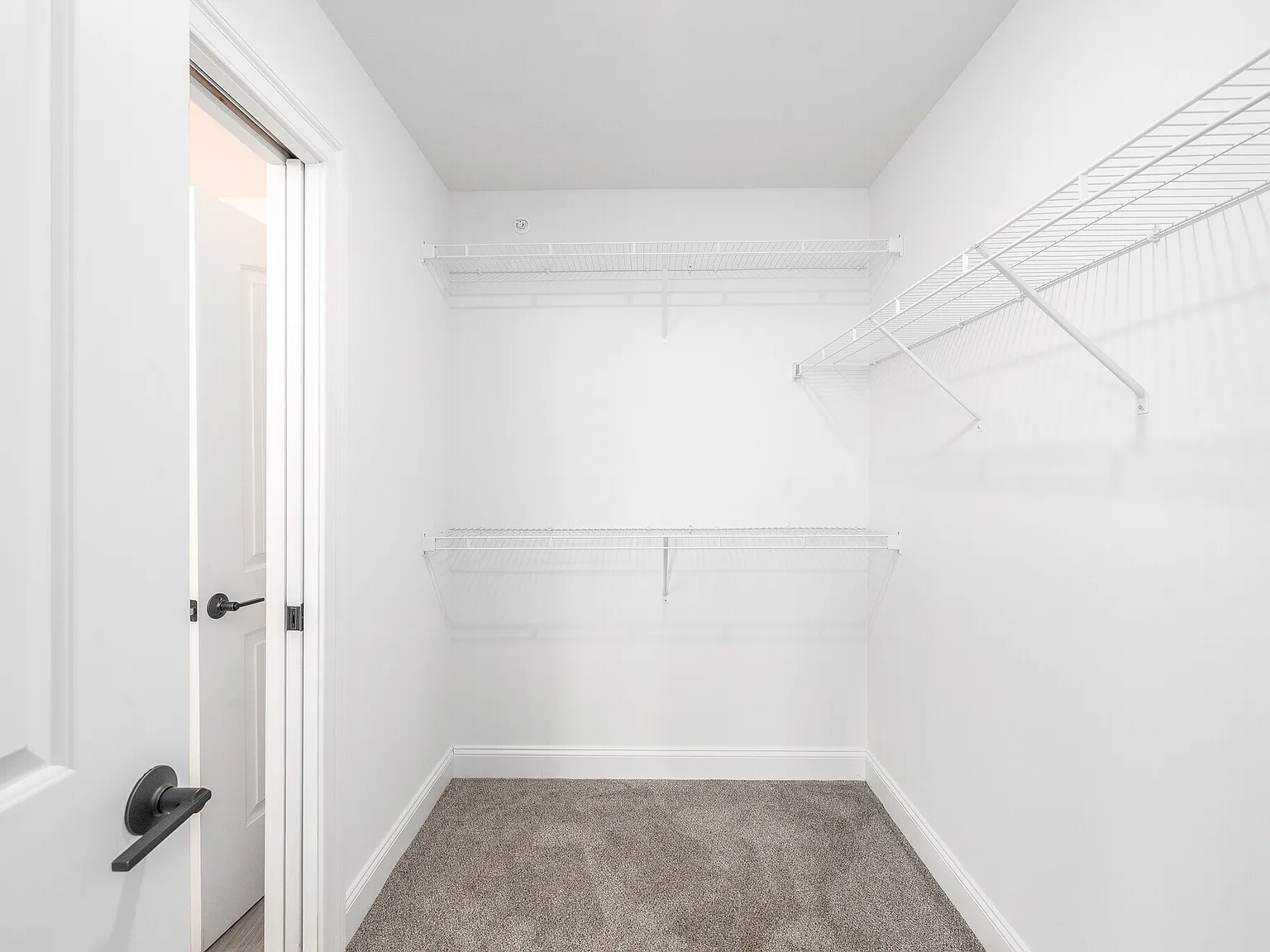 The Residences at LeMoyne Manor — Photo 3