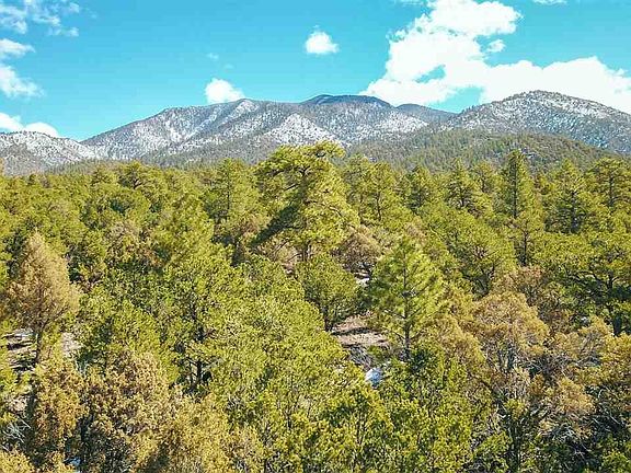 3rd image of LOT 41 Lower Pinabete Rd