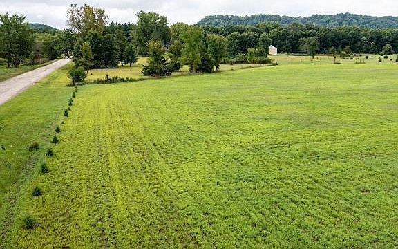 2nd image of 8.46 Acres Coon Rock Road
