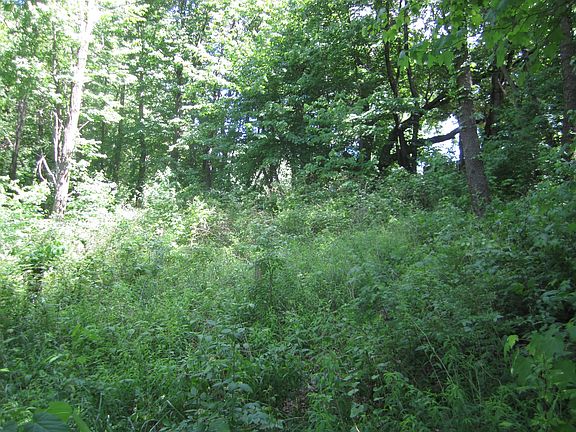 5th image of Collier Dr.-vacant Lot