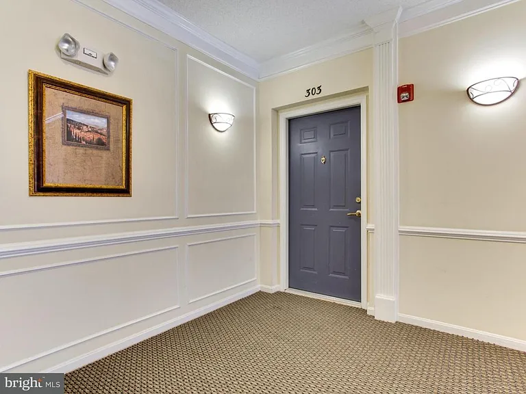 12170 Abington Hall Pl #303 — Photo 7