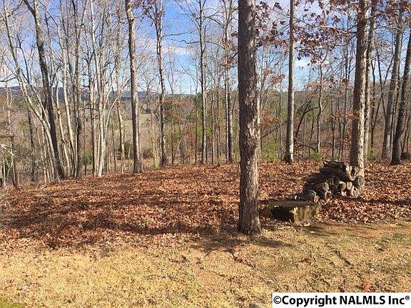 3rd image of 3015 County Road 60