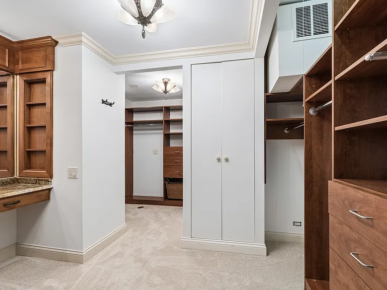 200 E Delaware Pl #4DE — Photo 31