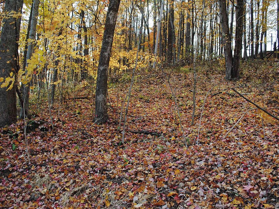 White Rd, Moatsville, WV 26405 Zillow