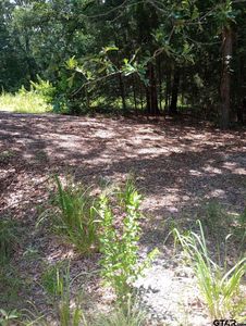 Dogwood Dr, Murchison, TX, 75778