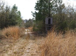 Big Joe Rd, Monticello, FL 32344