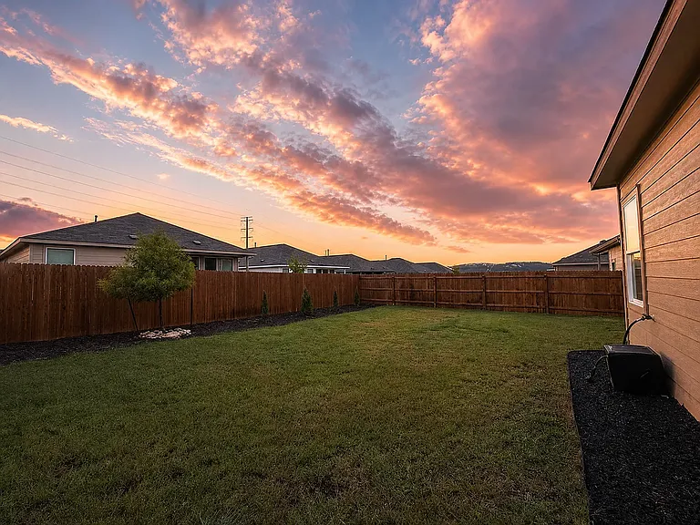 Backyard