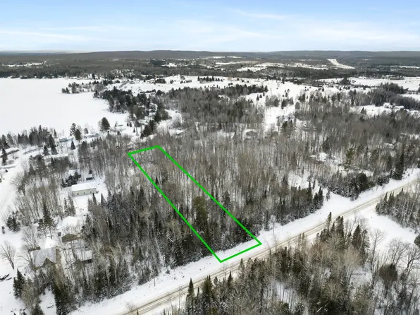 3435 Wurm Rd, Wolverine, MI 49799
