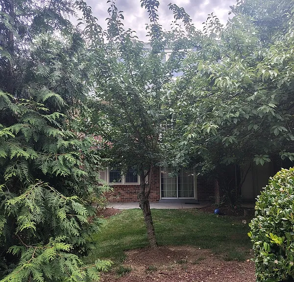 5956 Westchester Park Dr #1 — Photo 14