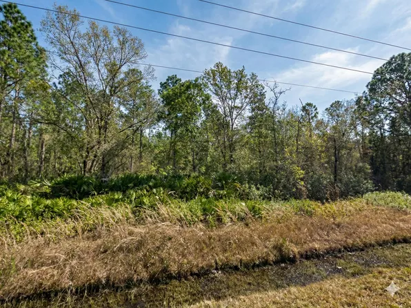 10720 Yeager Avenue, Hastings, FL 32145