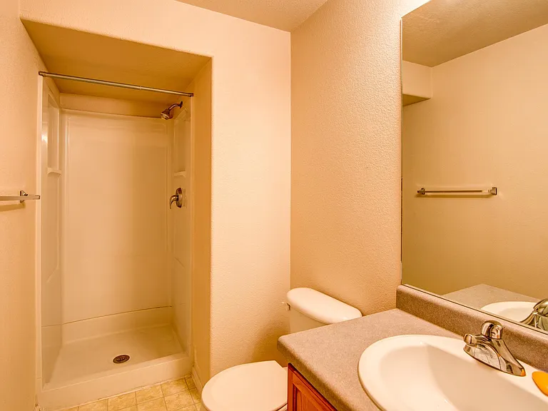Basement Bathroom