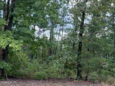 364 Hopewell Church Rd, Finger, TN, 38334