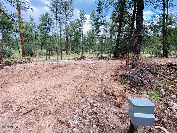 3rd image of 20 Pine Rd